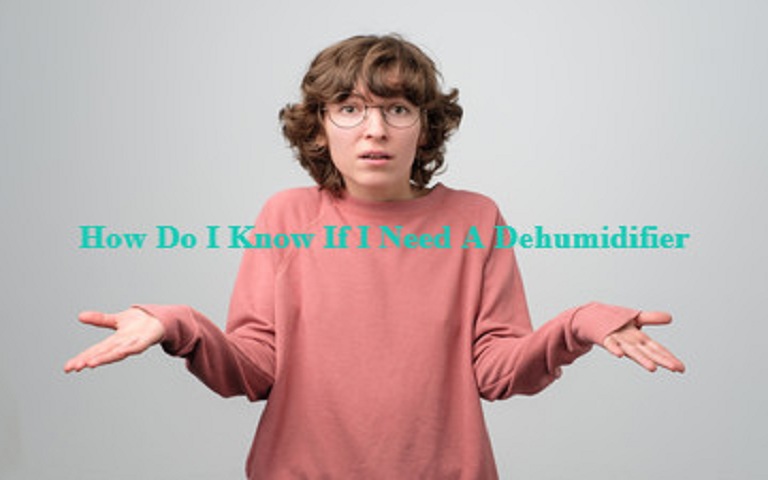 How Do I Know If I Need A Dehumidifier